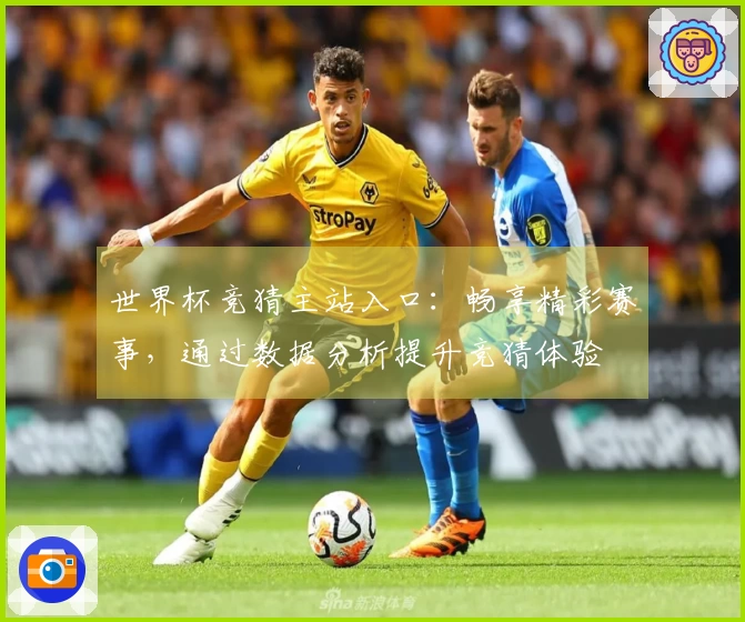 世界杯竞猜主站入口：畅享精彩赛事，通过数据分析提升竞猜体验
