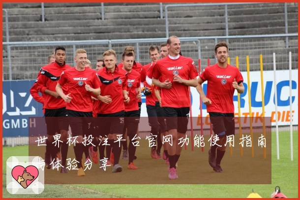 世界杯投注平台官网功能使用指南与体验分享