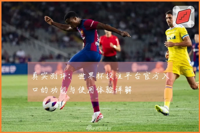 真实测评：世界杯投注平台官方入口的功能与使用体验详解