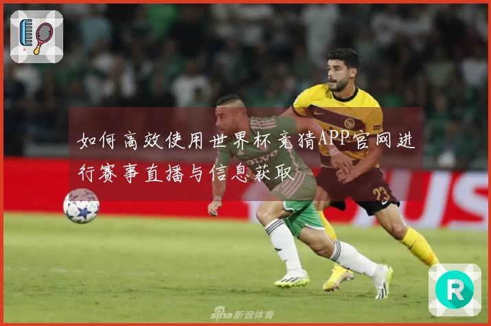 如何高效使用世界杯竞猜APP官网进行赛事直播与信息获取